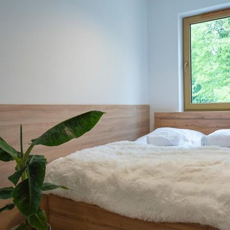 Apartament Kilinskiego 17 Daire Szklarska Poreba Dış mekan fotoğraf