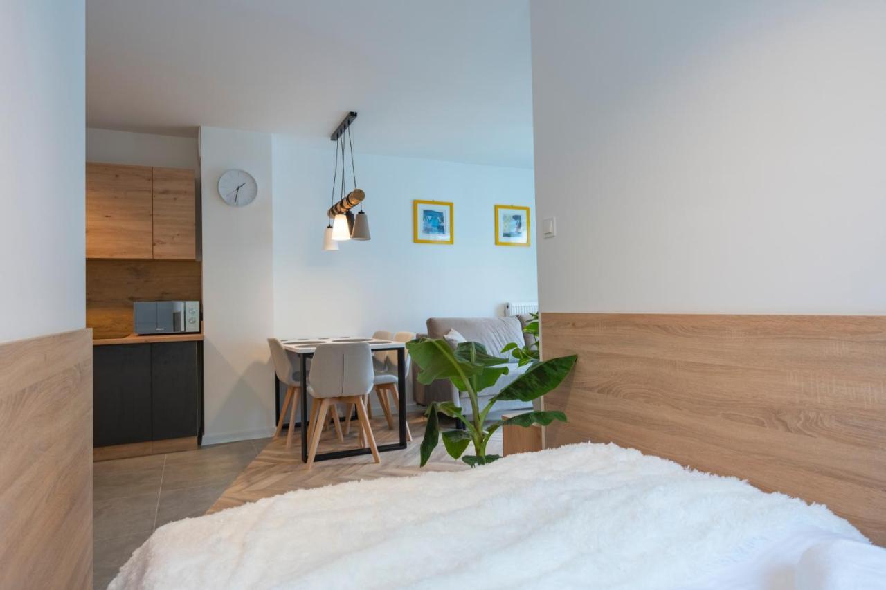 Apartament Kilinskiego 17 Daire Szklarska Poreba Dış mekan fotoğraf